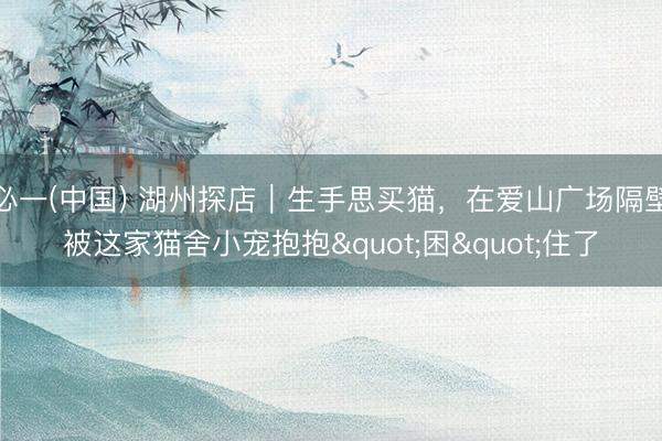 必一(中国) 湖州探店｜生手思买猫，在爱山广场隔壁被这家猫舍小宠抱抱"困"住了