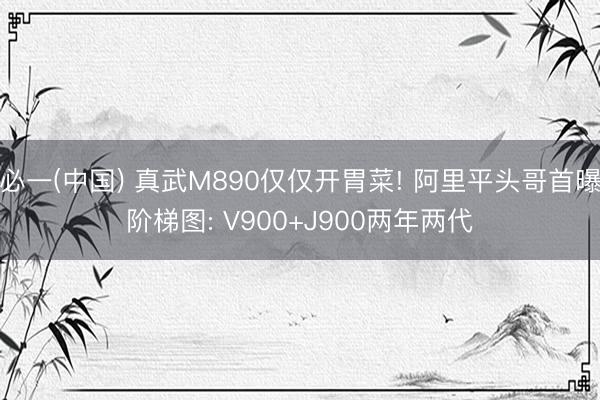 必一(中国) 真武M890仅仅开胃菜! 阿里平头哥首曝阶梯图: V900+J900两年两代