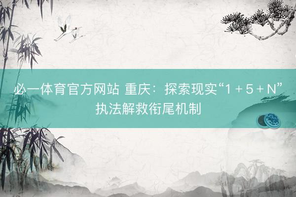 必一体育官方网站 重庆：探索现实“1﹢5﹢N”执法解救衔尾机制