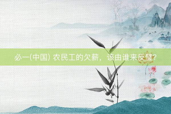 必一(中国) 农民工的欠薪，该由谁来反璧？