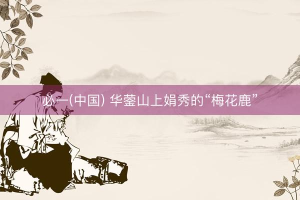 必一(中国) 华蓥山上娟秀的“梅花鹿”
