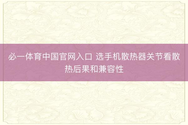 必一体育中国官网入口 选手机散热器关节看散热后果和兼容性
