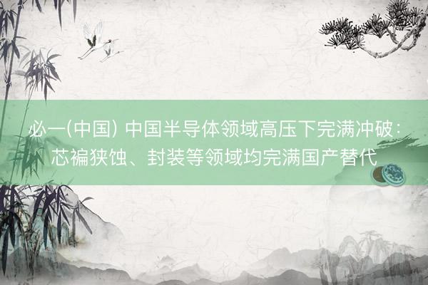 必一(中国) 中国半导体领域高压下完满冲破：芯褊狭蚀、封装等领域均完满国产替代