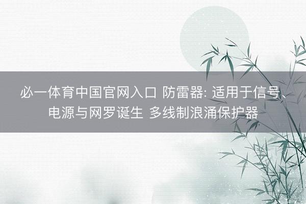 必一体育中国官网入口 防雷器: 适用于信号、电源与网罗诞生 多线制浪涌保护器