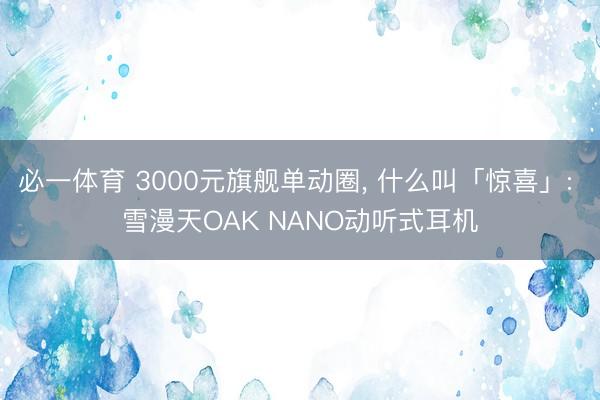 必一体育 3000元旗舰单动圈， 什么叫「惊喜」: 雪漫天OAK NANO动听式耳机