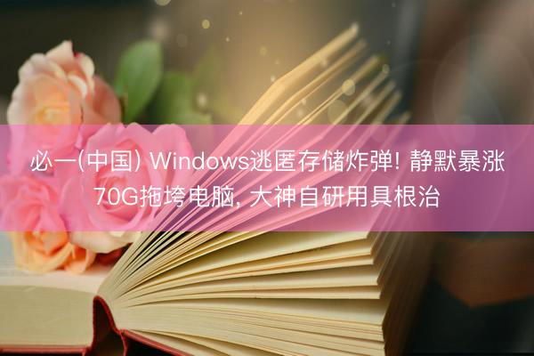 必一(中国) Windows逃匿存储炸弹! 静默暴涨70G拖垮电脑， 大神自研用具根治