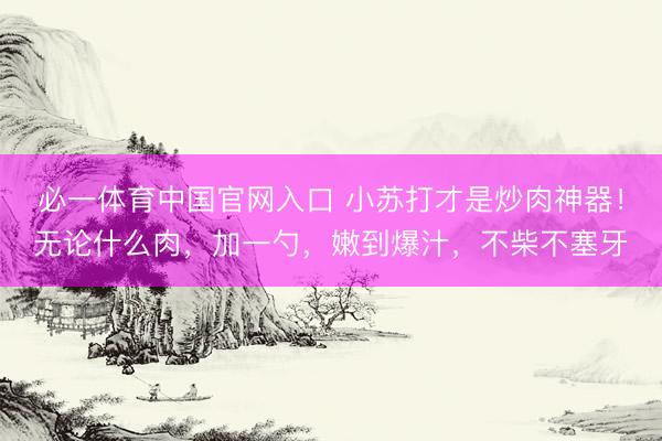 必一体育中国官网入口 小苏打才是炒肉神器！无论什么肉，加一勺，嫩到爆汁，不柴不塞牙