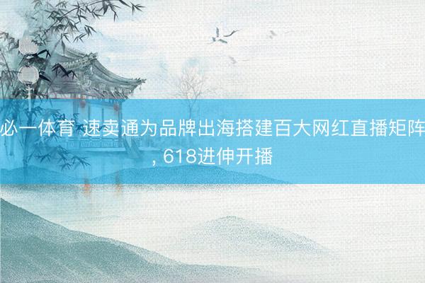 必一体育 速卖通为品牌出海搭建百大网红直播矩阵， 618进伸开播