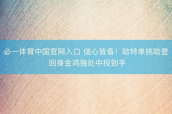 必一体育中国官网入口 信心皆备！哈特单挑哈登 回身金鸡独处中投到手