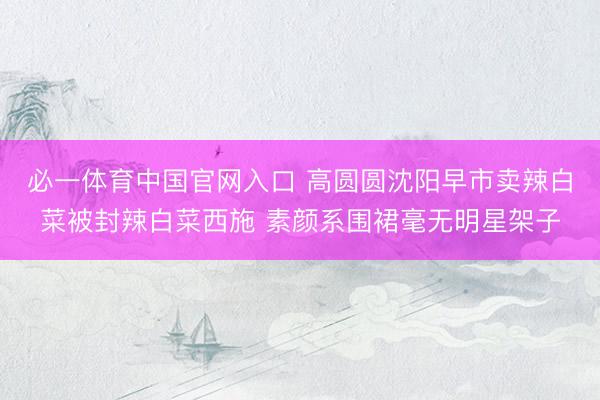 必一体育中国官网入口 高圆圆沈阳早市卖辣白菜被封辣白菜西施 素颜系围裙毫无明星架子