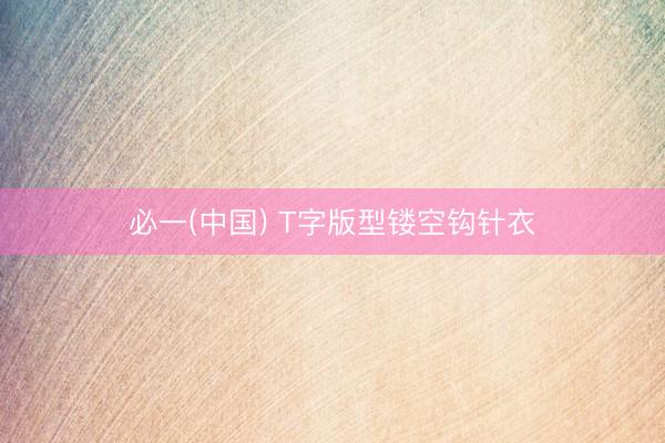 必一(中国) T字版型镂空钩针衣