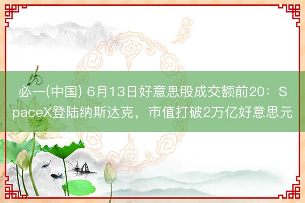 必一(中国) 6月13日好意思股成交额前20:SpaceX登陆纳斯达克,市值打破2万亿好意思元