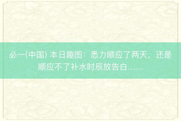 必一(中国) 本日趣图：悉力顺应了两天，还是顺应不了补水时辰放告白……