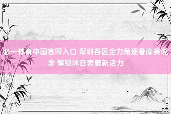 必一体育中国官网入口 深圳各区全力角逐奢靡赛说念 解锁沐日奢靡新活力