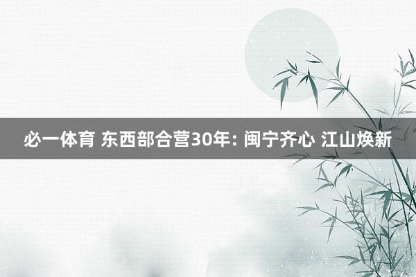 必一体育 东西部合营30年: 闽宁齐心 江山焕新