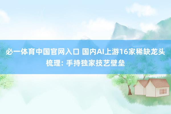 必一体育中国官网入口 国内AI上游16家稀缺龙头梳理: 手持独家技艺壁垒